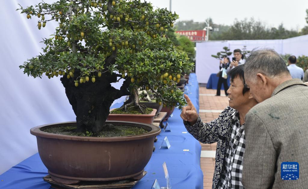 游戏厅赌币机大全