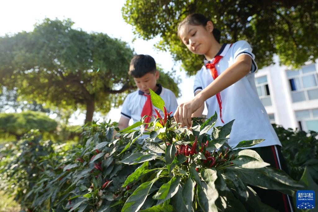 网页存款送优惠